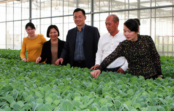 “用种子画出一个世界地图”——访北京捷利亚种业有限公司董事长张全杰
