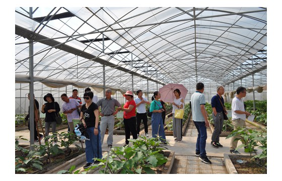 丽水市召开瓜菜新品种现场观摩暨新品种展示培训活动