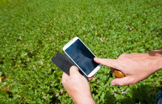 一部手机“滋养”出智慧农业