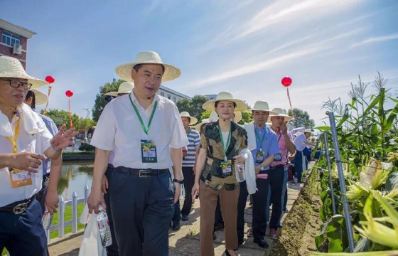 2018浙江省鲜食玉米品鉴大会在浙江东阳召开