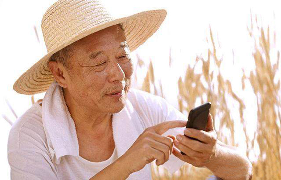 国务院出台多项举措要使手机成为农民“新农具”