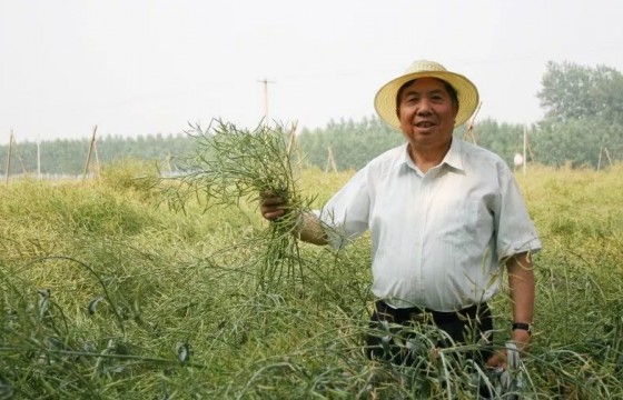 仅用50年，他的品种就占了全国市场的50%，种植面积超1亿亩