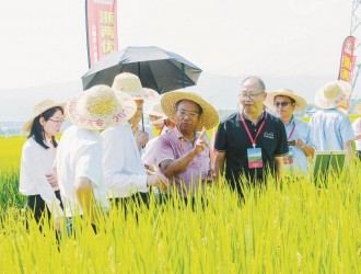 2023浙江·长江下游水稻新品种大会在嵊州召开