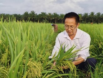 杨华德水稻专家，获评感动中国2023年度人物