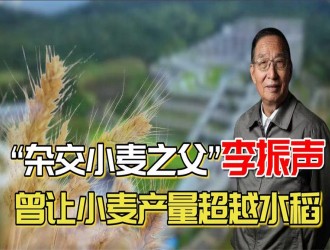 “小麦之父”李振声“守望丰收”的人