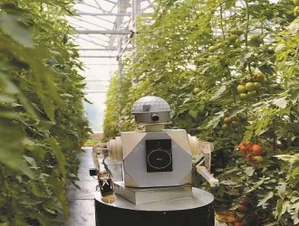 新种子、新技术、新装备……在“中国蔬菜之乡”看农业“未来式”