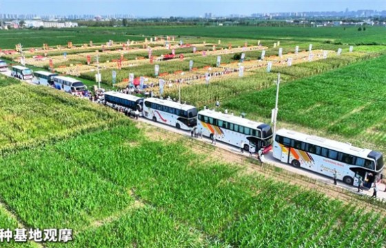 河南技丰种业集团2025年度玉米强势品种上市发布暨良种攻关成果展千人大会在郑州隆重举行